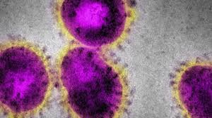 Immagine Coronavirus, ecco come si sta muovendo la Regione Toscana